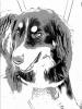Filzen mit Acrylanteil? - last post by pipizwerg