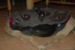 Angeh�ngtes Bild