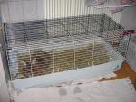 Angeh�ngtes Bild