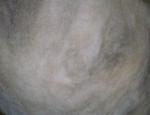 Angeh�ngtes Bild