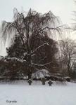 Angeh�ngtes Bild
