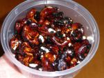 Angeh�ngtes Bild