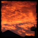 Angeh�ngtes Bild