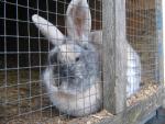 Angeh�ngtes Bild