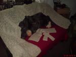 Angeh�ngtes Bild