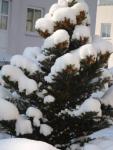 Angeh�ngtes Bild