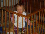 Angeh�ngtes Bild