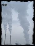Angeh�ngtes Bild