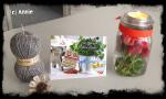 Angeh�ngtes Bild