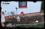 Angeh�ngtes Bild