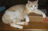 Angeh�ngtes Bild