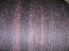 Angeh�ngtes Bild