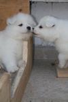 Angeh�ngtes Bild