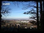 Angeh�ngtes Bild