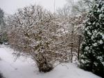 Angeh�ngtes Bild