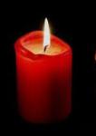 Angeh�ngtes Bild