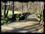 Angeh�ngtes Bild