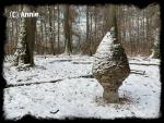 Angeh�ngtes Bild