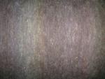 Angeh�ngtes Bild
