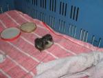 Angeh�ngtes Bild