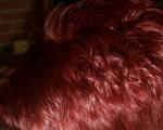 Angeh�ngtes Bild