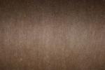 Angeh�ngtes Bild