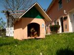 Angeh�ngtes Bild