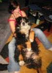 Angeh�ngtes Bild