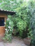 Angeh�ngtes Bild