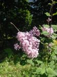 Angeh�ngtes Bild