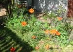 Angeh�ngtes Bild