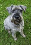 Angeh�ngtes Bild
