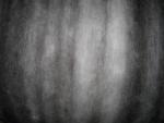 Angeh�ngtes Bild