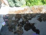 Angeh�ngtes Bild