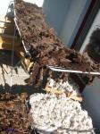 Attached Image