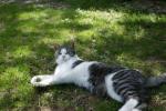 Angeh�ngtes Bild