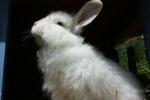 Angeh�ngtes Bild