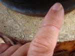 Angeh�ngtes Bild