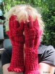 Angeh�ngtes Bild