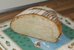 Angeh�ngtes Bild