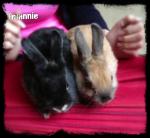 Angeh�ngtes Bild