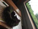Angeh�ngtes Bild