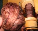 Angeh�ngtes Bild