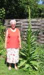 Angeh�ngtes Bild
