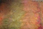 Angeh�ngtes Bild