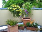 Angeh�ngtes Bild