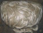 Angeh�ngtes Bild