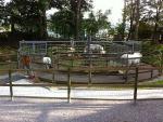 Angeh�ngtes Bild