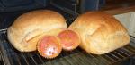 Angeh�ngtes Bild