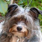 Angeh�ngtes Bild